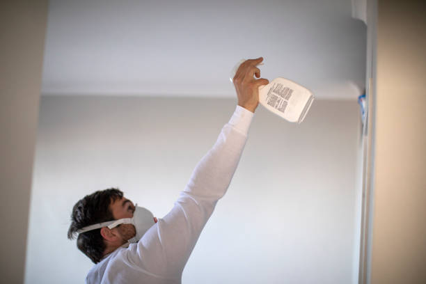 Best Mold Remediation  in Cooper, TX