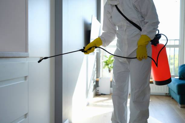 Best Home Mold Removal  in Cooper, TX