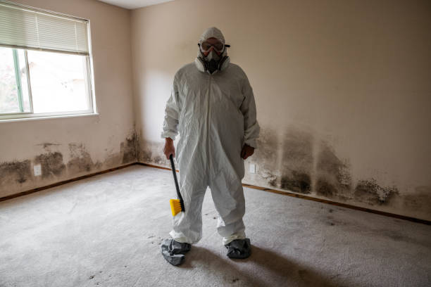 Best Mold Cleaning Services  in Cooper, TX