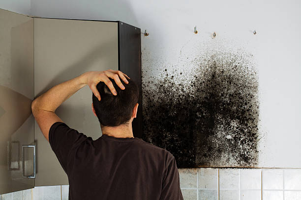 Best Mold Removal Near Me  in Cooper, TX